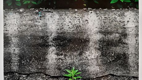 Výstava fotografií posluchačů oboru Výtvarná fotografie