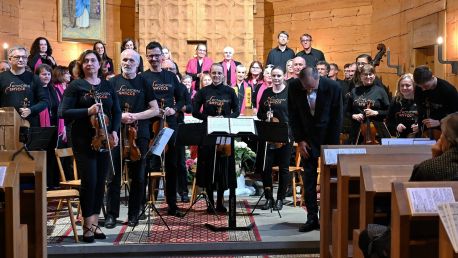 Májový koncert Komorních smyčců